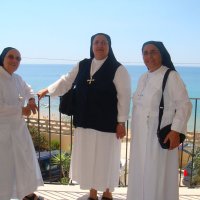 Anno zangariano