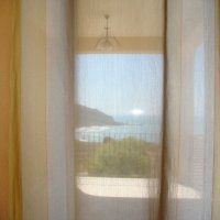Anno zangariano