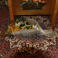 25° anniversario di consacrazione religiosa di Suor Gabriella Ruggieri e Suor Maria Concetta Sena