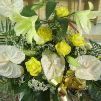 50° anniversario dall'ordinazione di Suor Aurelia e Suor Daniela