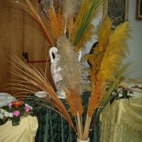 50° anniversario dall'ordinazione di Suor Aurelia e Suor Daniela